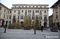VBS_6882 - Continua la Fiera del Tartufo 2021 con i Registi di The Truffle Hunters